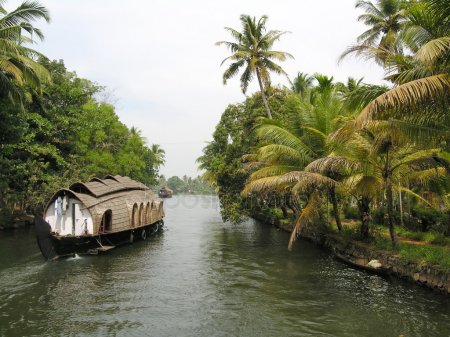 nature facts, backwaters in kerala