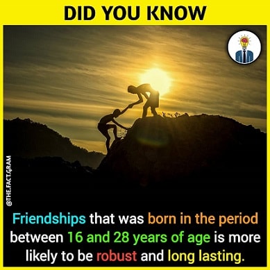 long lasting friendship facts