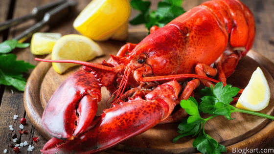 clawed lobster
