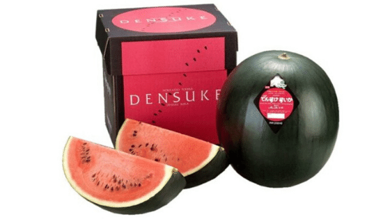 densuke watermelon