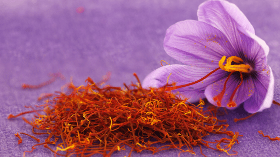 saffron flower