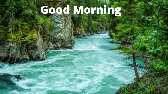 good morning scenery pics