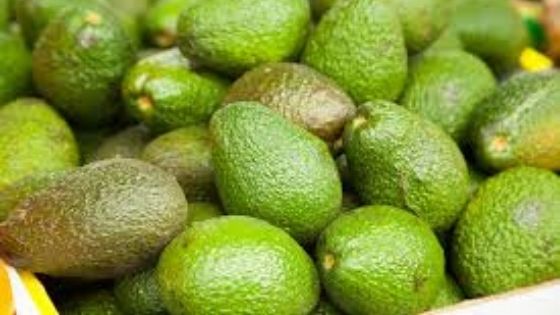 benefits of raw avocado