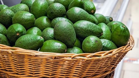 avocado improve liver 