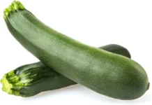 zucchini glycemic index