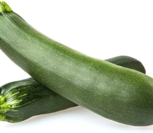 zucchini glycemic index