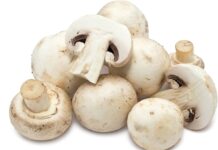 mushroom glycemic index