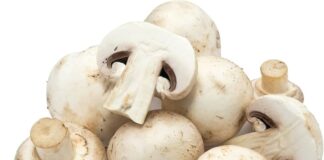 mushroom glycemic index