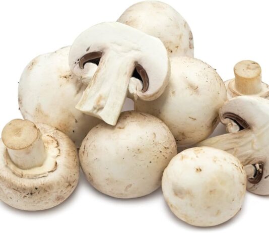 mushroom glycemic index