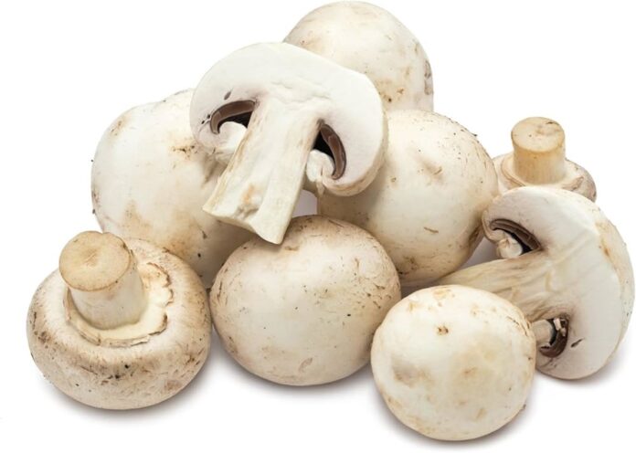 mushroom glycemic index