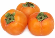 persimmon glycemic index