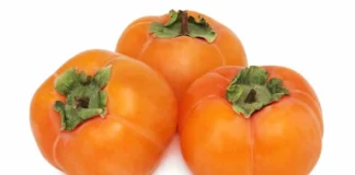 persimmon glycemic index