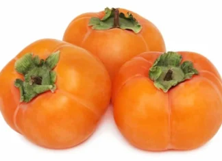 persimmon glycemic index