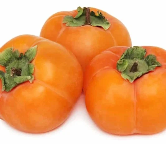 persimmon glycemic index