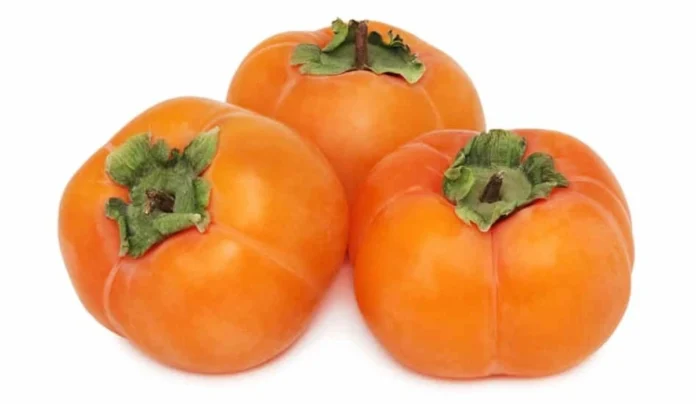 persimmon glycemic index