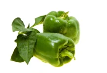 green-pepper-glycemic-index