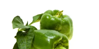 green-pepper-glycemic-index