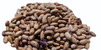 pinto beans glycemic index