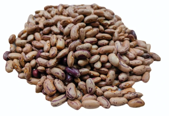 pinto beans glycemic index