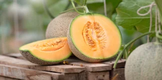 cantaloupe glycemic index glycemic load and nutritional facts