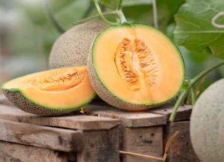 cantaloupe glycemic index glycemic load and nutritional facts