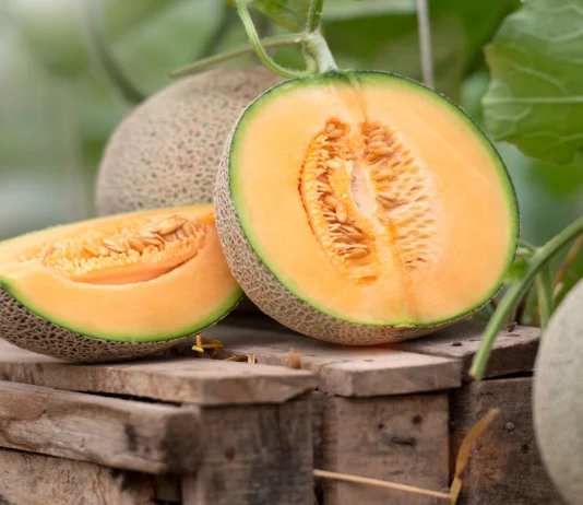 cantaloupe glycemic index glycemic load and nutritional facts