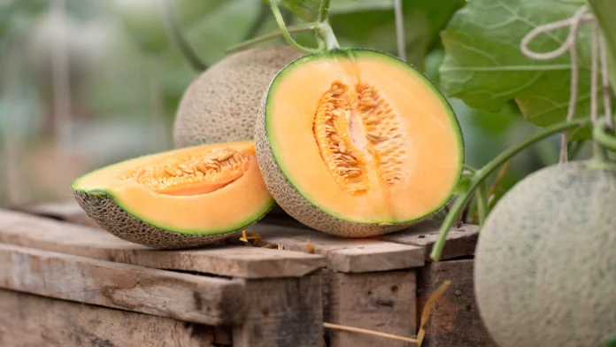 cantaloupe glycemic index glycemic load and nutritional facts