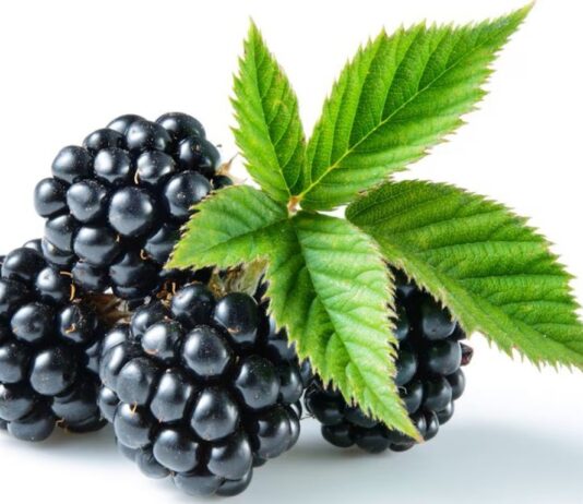 glycemic index of blackberries