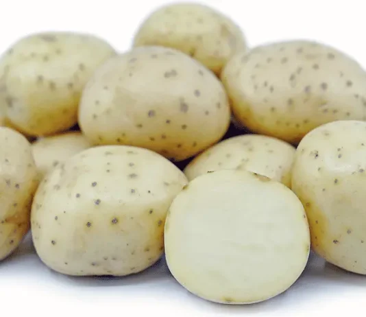 potato glycemic index
