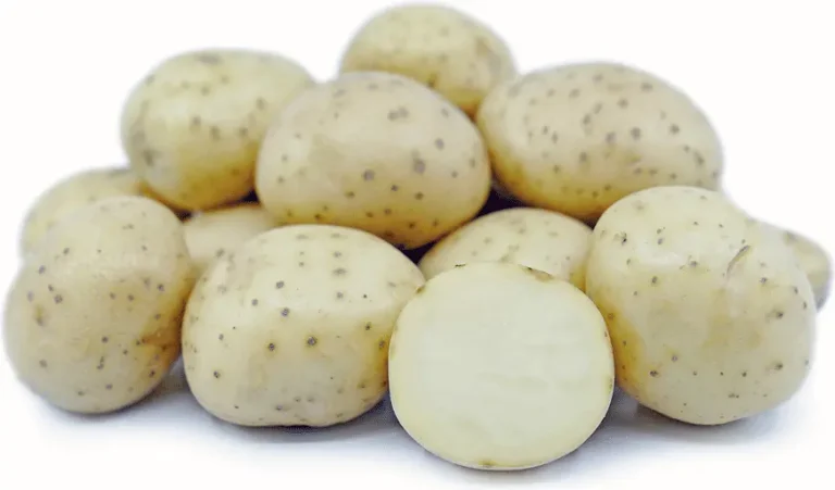 potato glycemic index