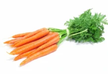 carrots glycemic index