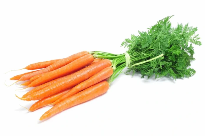 carrots glycemic index