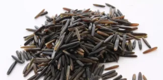 wild rice glycemic index