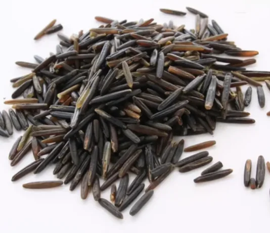 wild rice glycemic index