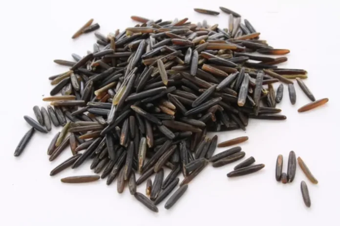 wild rice glycemic index