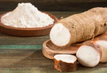 Glycemic Index of Cassava Flour: