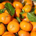 Glycemic Index of Clementines