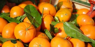 Glycemic Index of Clementines