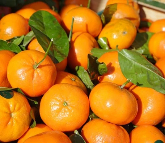 Glycemic Index of Clementines