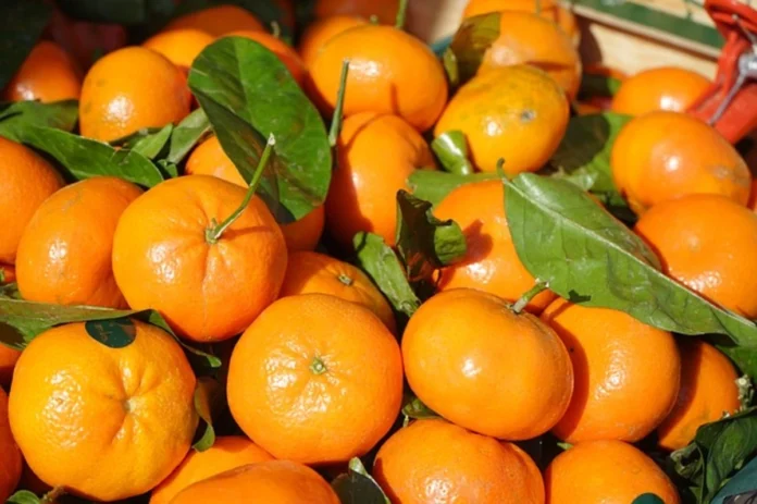 Glycemic Index of Clementines