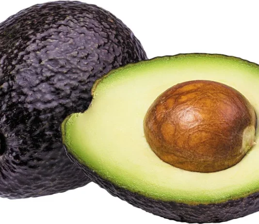 avocado glycemic index