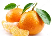 tangerine glycemic index